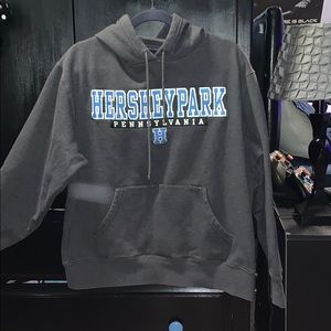Grey Jansport Hershey Park hoodie